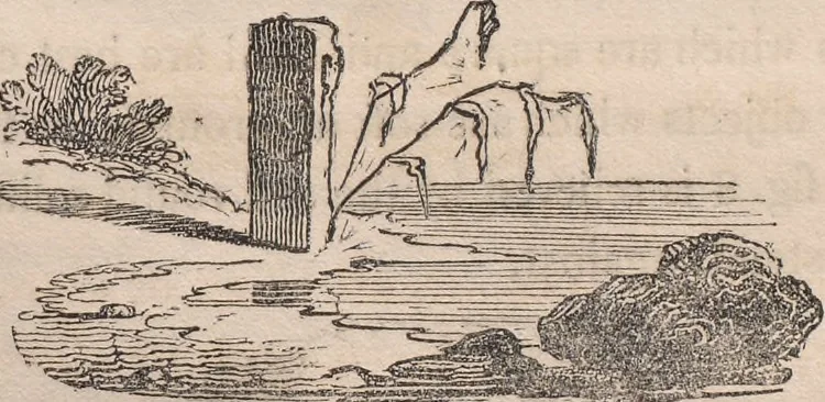 An illustration from The art of drawing in its various branches : exemplified in a course of twenty-eight progressive lessons, calculated to afford those who are unacquainted with the art, the means of acquiring a competent knowledge without the aid of a master : being the only work of the kind in which the principles of effect are explained in a clear, methodical, and at the same time familiar style, 1827, leaf 160