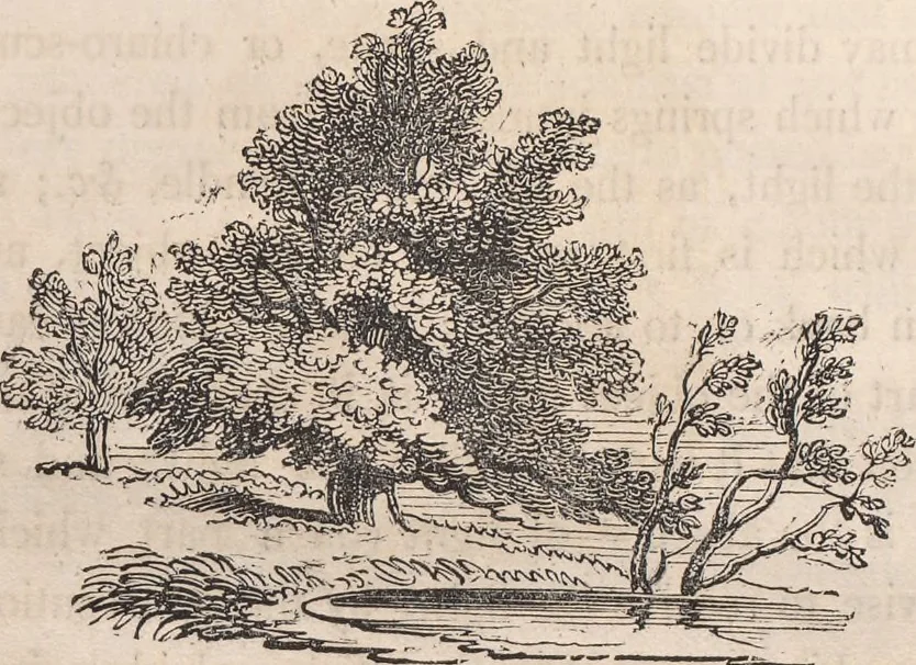 An illustration from The art of drawing in its various branches : exemplified in a course of twenty-eight progressive lessons, calculated to afford those who are unacquainted with the art, the means of acquiring a competent knowledge without the aid of a master : being the only work of the kind in which the principles of effect are explained in a clear, methodical, and at the same time familiar style, 1827, leaf 162