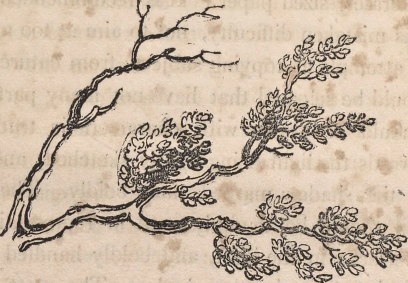 An illustration from The art of drawing in its various branches : exemplified in a course of twenty-eight progressive lessons, calculated to afford those who are unacquainted with the art, the means of acquiring a competent knowledge without the aid of a master : being the only work of the kind in which the principles of effect are explained in a clear, methodical, and at the same time familiar style, 1827, leaf 56