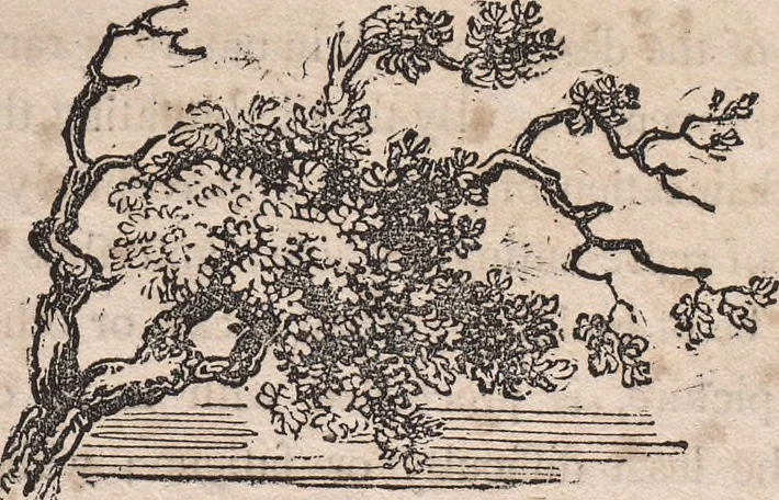 An illustration from The art of drawing in its various branches : exemplified in a course of twenty-eight progressive lessons, calculated to afford those who are unacquainted with the art, the means of acquiring a competent knowledge without the aid of a master : being the only work of the kind in which the principles of effect are explained in a clear, methodical, and at the same time familiar style, 1827, leaf 56