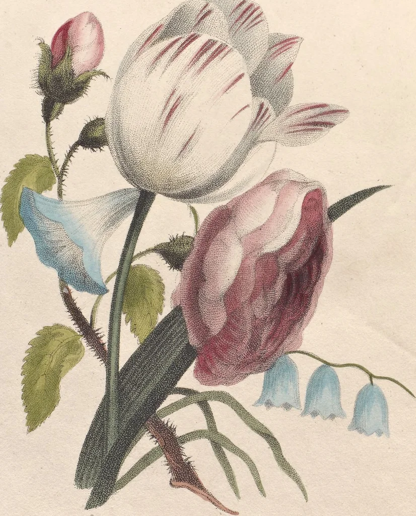 An illustration from The art of drawing in its various branches : exemplified in a course of twenty-eight progressive lessons, calculated to afford those who are unacquainted with the art, the means of acquiring a competent knowledge without the aid of a master : being the only work of the kind in which the principles of effect are explained in a clear, methodical, and at the same time familiar style, 1827, leaf 9