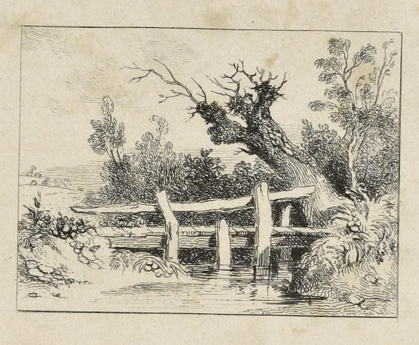 An illustration from On the theory of painting : to which is added and index of mixed tints, and an introduction to painting in water-colours, with precepts, 1835, leaf 200