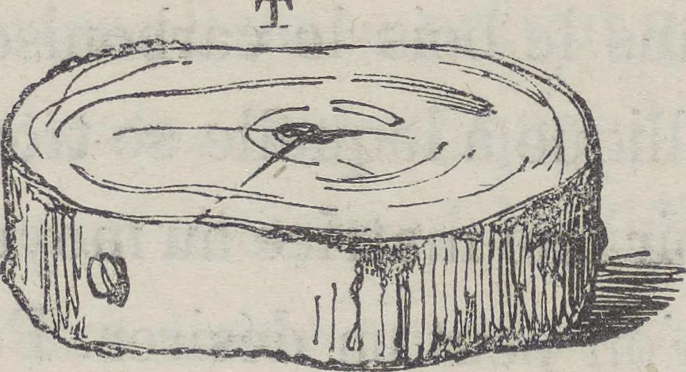An illustration from Traité théorique et pratique de l'impression des tissus, 1846, leaf 265