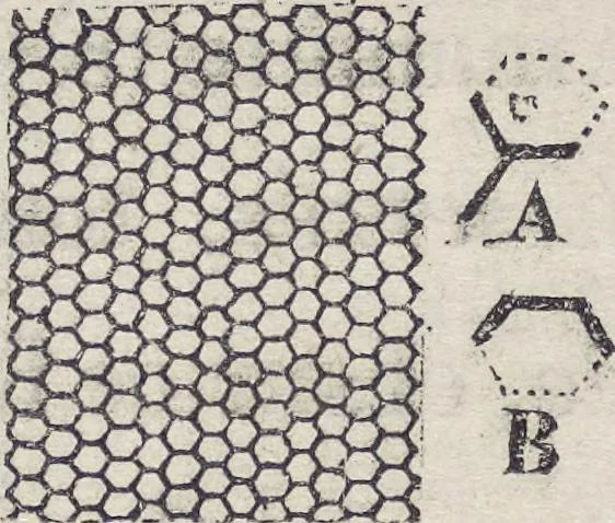 An illustration from Traité théorique et pratique de l'impression des tissus, 1846, leaf 298