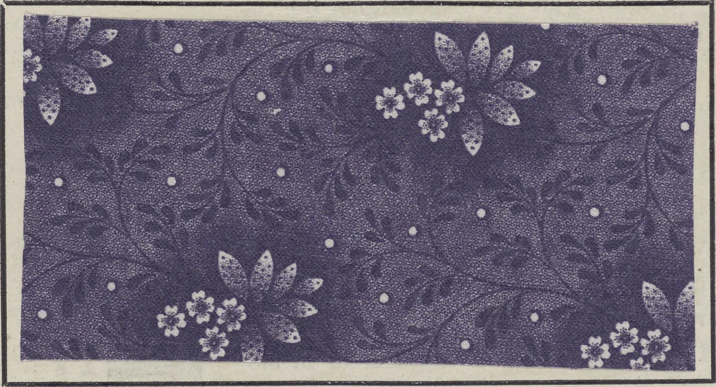 An illustration from Traité théorique et pratique de l'impression des tissus, 1846, leaf 299