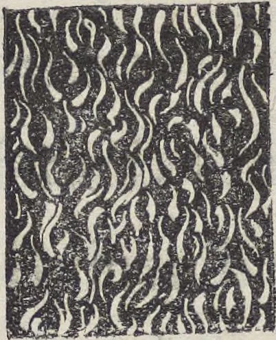 An illustration from Traité théorique et pratique de l'impression des tissus, 1846, leaf 306