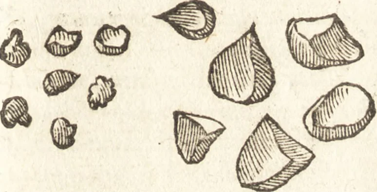 An illustration from De naturae diuinis characterismis, seu, Raris & admirandis spectaculis, causis, indiciis, proprietatibus rerum in partibus singulis vniuersi, libri II, 1575, leaf 102