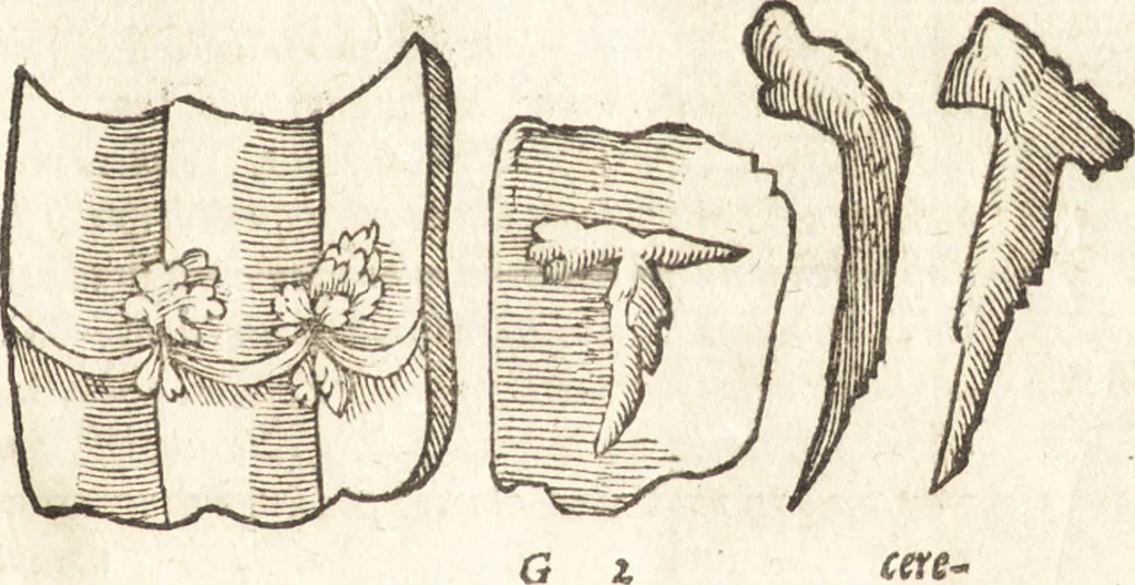 An illustration from De naturae diuinis characterismis, seu, Raris & admirandis spectaculis, causis, indiciis, proprietatibus rerum in partibus singulis vniuersi, libri II, 1575, leaf 102