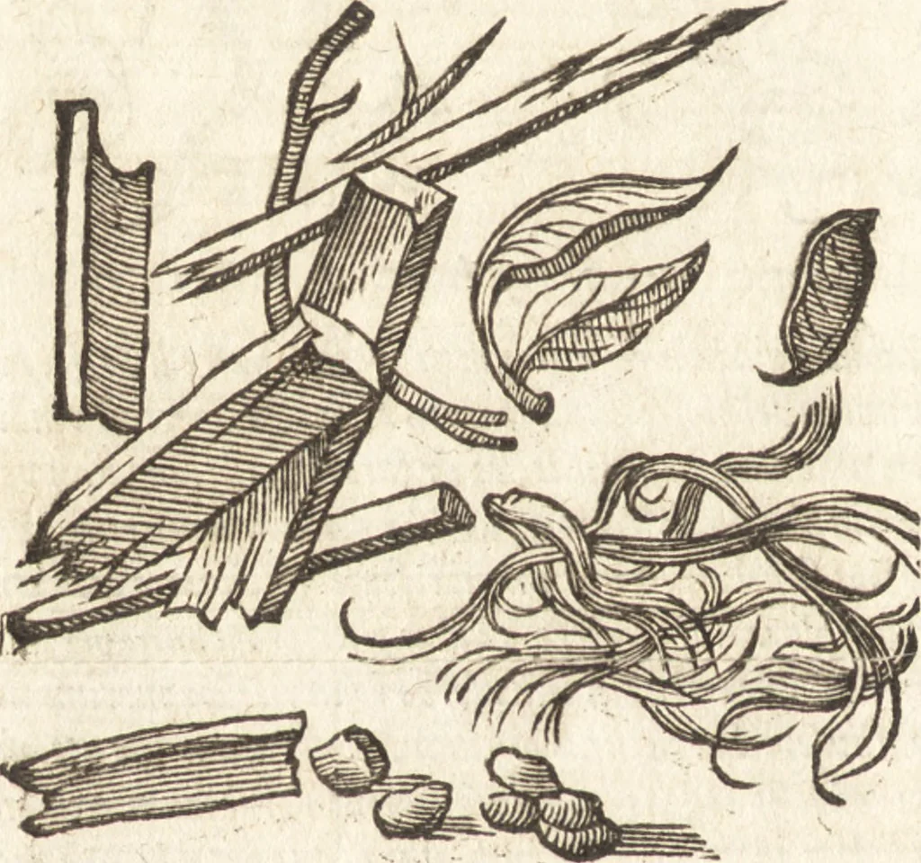 An illustration from De naturae diuinis characterismis, seu, Raris & admirandis spectaculis, causis, indiciis, proprietatibus rerum in partibus singulis vniuersi, libri II, 1575, leaf 105