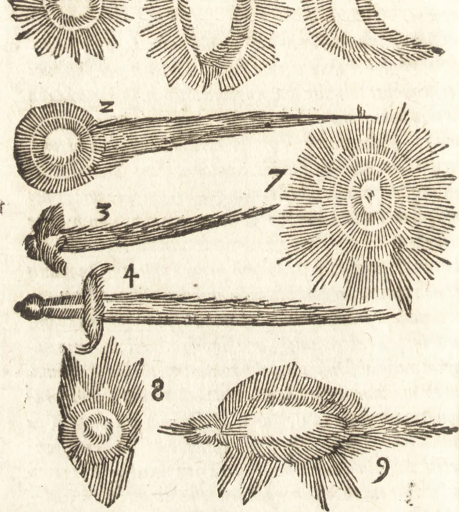An illustration from De naturae diuinis characterismis, seu, Raris & admirandis spectaculis, causis, indiciis, proprietatibus rerum in partibus singulis vniuersi, libri II, 1575, leaf 199
