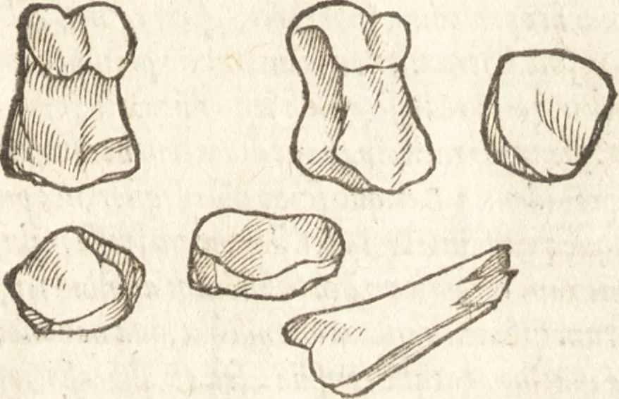 An illustration from De naturae diuinis characterismis, seu, Raris & admirandis spectaculis, causis, indiciis, proprietatibus rerum in partibus singulis vniuersi, libri II, 1575, leaf 456