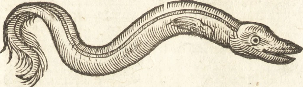 An illustration from De naturae diuinis characterismis, seu, Raris & admirandis spectaculis, causis, indiciis, proprietatibus rerum in partibus singulis vniuersi, libri II, 1575, leaf 458