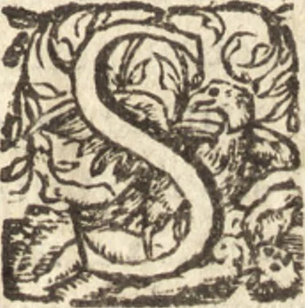 An illustration from De naturae diuinis characterismis, seu, Raris & admirandis spectaculis, causis, indiciis, proprietatibus rerum in partibus singulis vniuersi, libri II, 1575, leaf 6