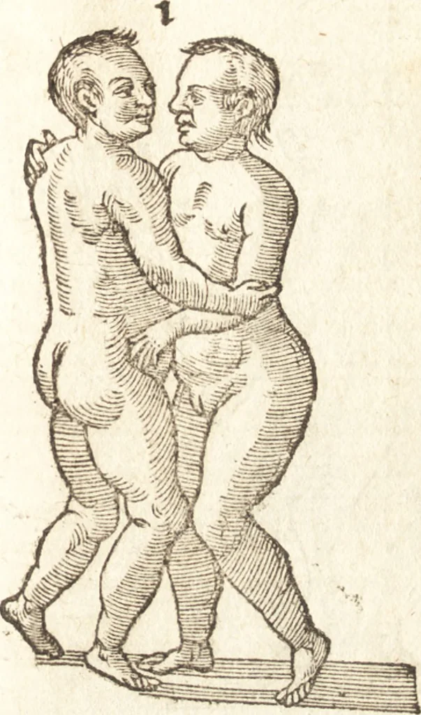An illustration from De naturae diuinis characterismis, seu, Raris & admirandis spectaculis, causis, indiciis, proprietatibus rerum in partibus singulis vniuersi, libri II, 1575, leaf 92