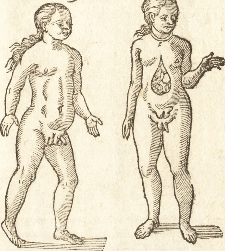 An illustration from De naturae diuinis characterismis, seu, Raris & admirandis spectaculis, causis, indiciis, proprietatibus rerum in partibus singulis vniuersi, libri II, 1575, leaf 96