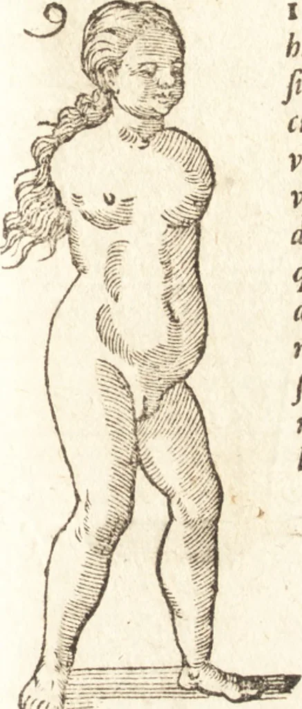 An illustration from De naturae diuinis characterismis, seu, Raris & admirandis spectaculis, causis, indiciis, proprietatibus rerum in partibus singulis vniuersi, libri II, 1575, leaf 98