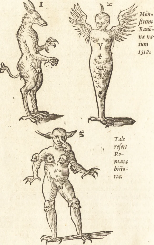 An illustration from De naturae diuinis characterismis, seu, Raris & admirandis spectaculis, causis, indiciis, proprietatibus rerum in partibus singulis vniuersi, libri II, 1575, leaf 99