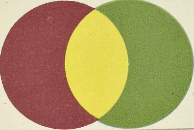 An illustration from The science of colour mixing : a manual intended for the use of dyers, calico printers and colour chemists, 1900, leaf 82