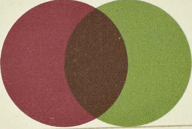 An illustration from The science of colour mixing : a manual intended for the use of dyers, calico printers and colour chemists, 1900, leaf 82