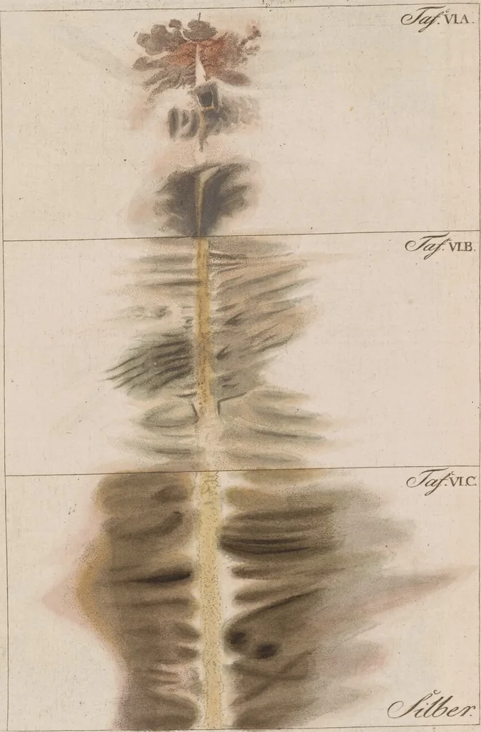 An illustration from Beschreibung einer ungemein grossen Elektrisier-Maschine : und der damit im Teylerschen Museum zu Haarlem angestelten Versuche, 1786, leaf 101