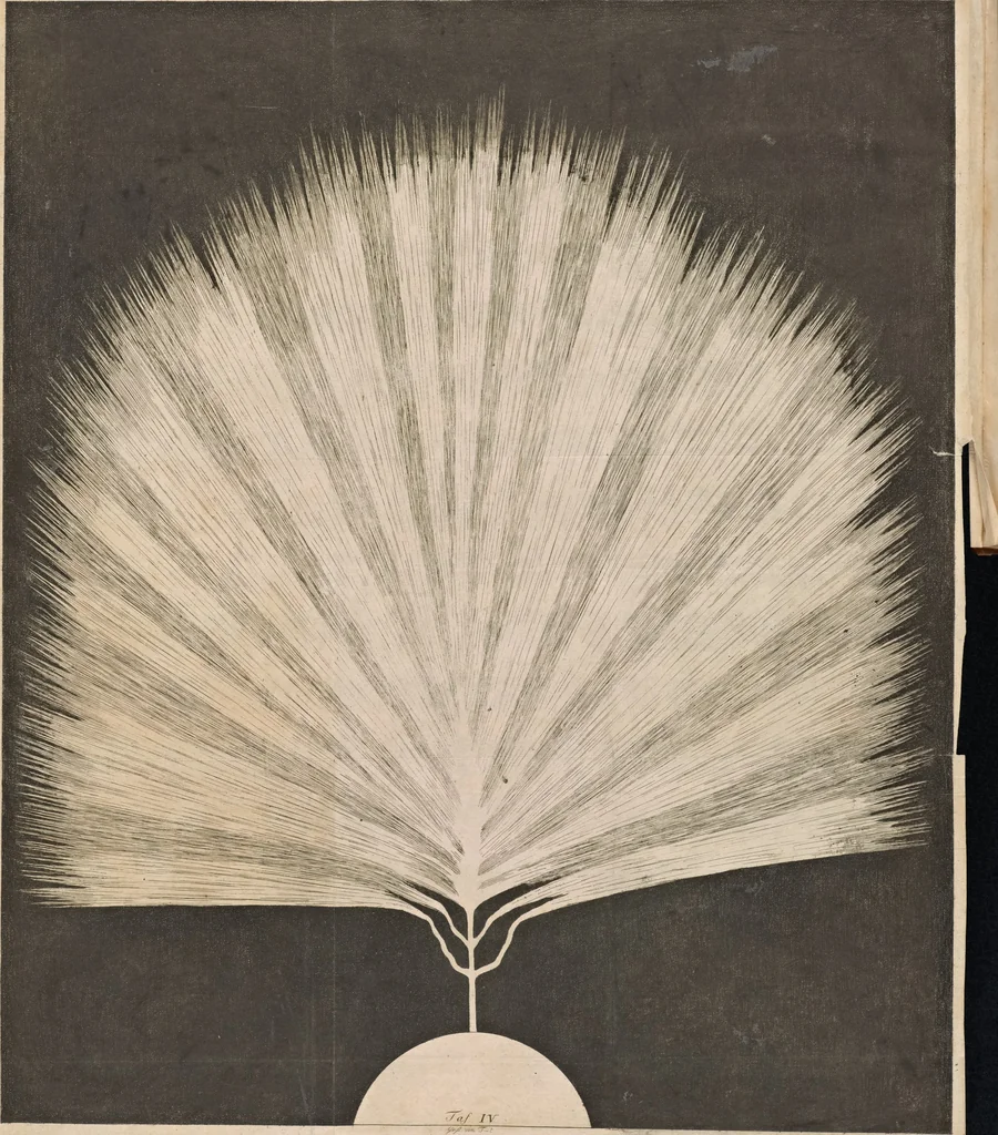An illustration from Beschreibung einer ungemein grossen Elektrisier-Maschine : und der damit im Teylerschen Museum zu Haarlem angestelten Versuche, 1786, leaf 27
