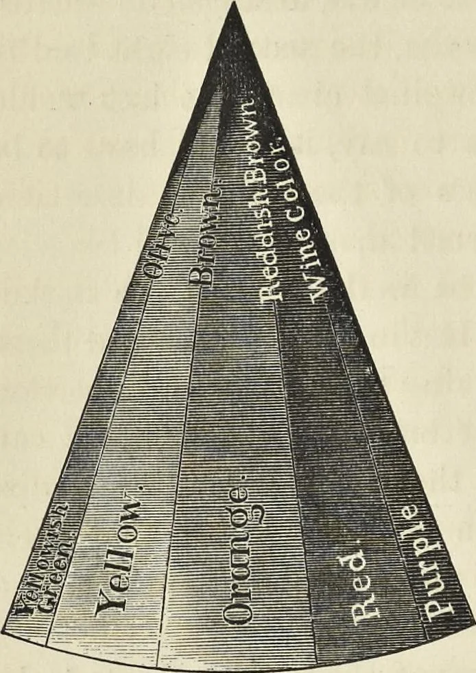An illustration from The theory of color in its relation to art and art-industry, 1876, leaf 147