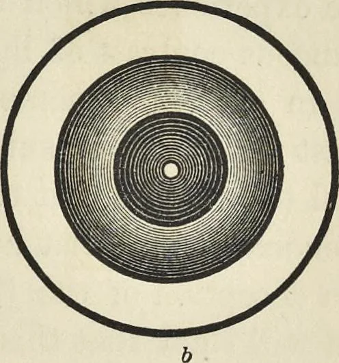 An illustration from The theory of color in its relation to art and art-industry, 1876, leaf 190