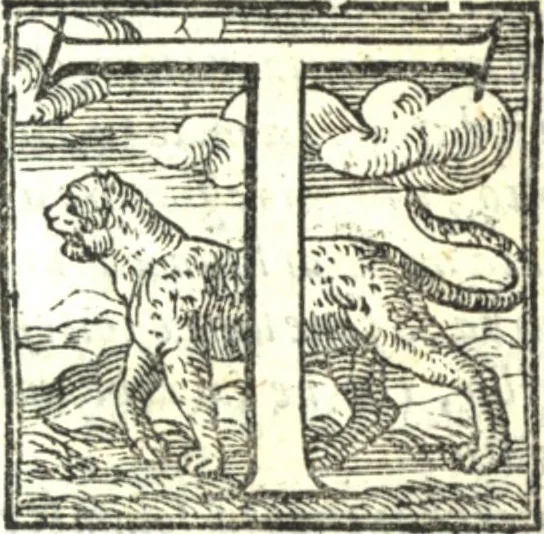 An illustration from Dialogo di m. Lodovico Dolce : nel quale si ragiona delle qualità, diuersità, e proprietà de i colori, 1565, leaf 14