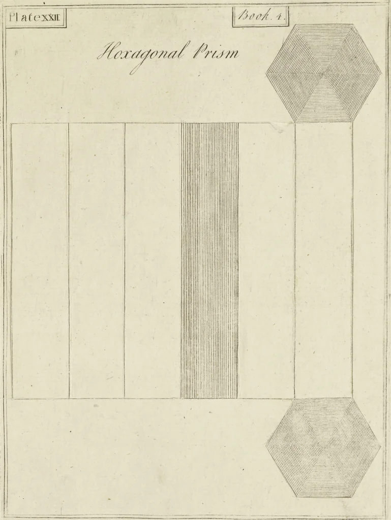 An illustration from An appendix to the Elements of Euclid, in seven books : containing forty-two moveable schemes for forming the various kinds of solids, and their sections, by which the doctrine of solids in the eleventh, twelfth, and fifteenth books of Euclid is illustrated, and rendered more easy to learners than heretofore ..., 1765, leaf 104