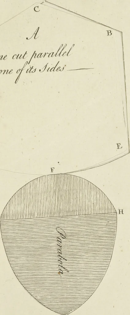 An illustration from An appendix to the Elements of Euclid, in seven books : containing forty-two moveable schemes for forming the various kinds of solids, and their sections, by which the doctrine of solids in the eleventh, twelfth, and fifteenth books of Euclid is illustrated, and rendered more easy to learners than heretofore ..., 1765, leaf 176