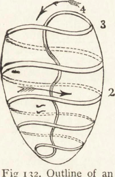 An illustration from The principles of light and color: including among other things the harmonic laws of the universe, the etherio-atomic philosophy of force, chromo chemistry, chromo therapeutics, and the general philosophy of the fine forces, together with numerous discoveries and practical applications .., 1878, leaf 116