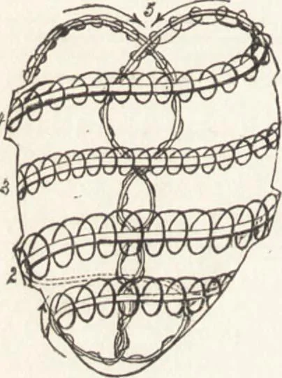 An illustration from The principles of light and color: including among other things the harmonic laws of the universe, the etherio-atomic philosophy of force, chromo chemistry, chromo therapeutics, and the general philosophy of the fine forces, together with numerous discoveries and practical applications .., 1878, leaf 119