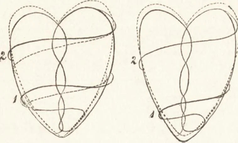 An illustration from The principles of light and color: including among other things the harmonic laws of the universe, the etherio-atomic philosophy of force, chromo chemistry, chromo therapeutics, and the general philosophy of the fine forces, together with numerous discoveries and practical applications .., 1878, leaf 166
