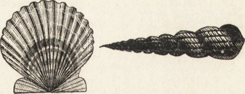 An illustration from The principles of light and color: including among other things the harmonic laws of the universe, the etherio-atomic philosophy of force, chromo chemistry, chromo therapeutics, and the general philosophy of the fine forces, together with numerous discoveries and practical applications .., 1878, leaf 23