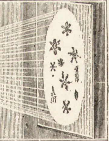 An illustration from The principles of light and color: including among other things the harmonic laws of the universe, the etherio-atomic philosophy of force, chromo chemistry, chromo therapeutics, and the general philosophy of the fine forces, together with numerous discoveries and practical applications .., 1878, leaf 25