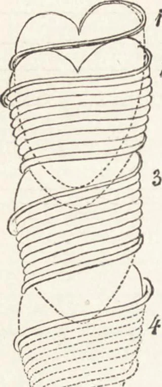 An illustration from The principles of light and color: including among other things the harmonic laws of the universe, the etherio-atomic philosophy of force, chromo chemistry, chromo therapeutics, and the general philosophy of the fine forces, together with numerous discoveries and practical applications .., 1878, leaf 285