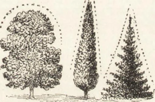 An illustration from The principles of light and color: including among other things the harmonic laws of the universe, the etherio-atomic philosophy of force, chromo chemistry, chromo therapeutics, and the general philosophy of the fine forces, together with numerous discoveries and practical applications .., 1878, leaf 36