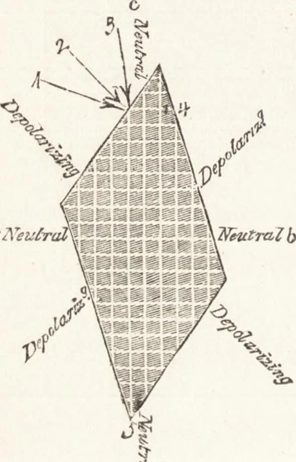 An illustration from The principles of light and color: including among other things the harmonic laws of the universe, the etherio-atomic philosophy of force, chromo chemistry, chromo therapeutics, and the general philosophy of the fine forces, together with numerous discoveries and practical applications .., 1878, leaf 427