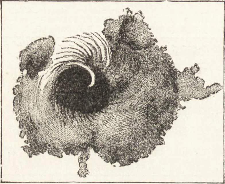 An illustration from The principles of light and color: including among other things the harmonic laws of the universe, the etherio-atomic philosophy of force, chromo chemistry, chromo therapeutics, and the general philosophy of the fine forces, together with numerous discoveries and practical applications .., 1878, leaf 431