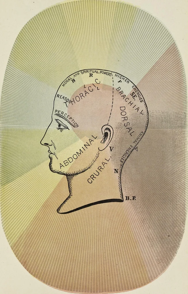 An illustration from The principles of light and color: including among other things the harmonic laws of the universe, the etherio-atomic philosophy of force, chromo chemistry, chromo therapeutics, and the general philosophy of the fine forces, together with numerous discoveries and practical applications .., 1878, leaf 498
