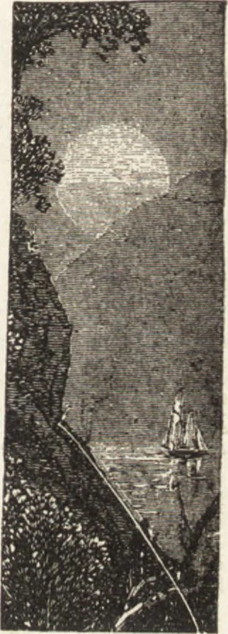 An illustration from The principles of light and color: including among other things the harmonic laws of the universe, the etherio-atomic philosophy of force, chromo chemistry, chromo therapeutics, and the general philosophy of the fine forces, together with numerous discoveries and practical applications .., 1878, leaf 50