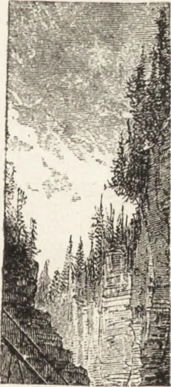 An illustration from The principles of light and color: including among other things the harmonic laws of the universe, the etherio-atomic philosophy of force, chromo chemistry, chromo therapeutics, and the general philosophy of the fine forces, together with numerous discoveries and practical applications .., 1878, leaf 50