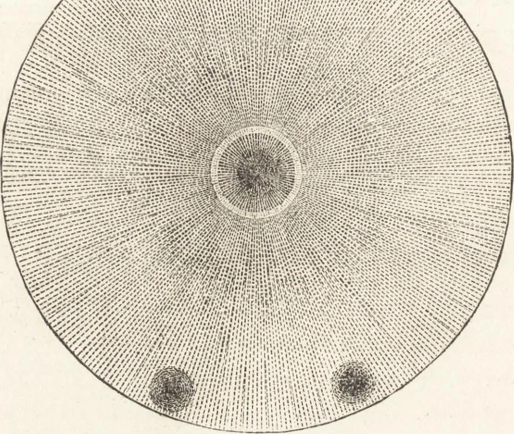 An illustration from The principles of light and color: including among other things the harmonic laws of the universe, the etherio-atomic philosophy of force, chromo chemistry, chromo therapeutics, and the general philosophy of the fine forces, together with numerous discoveries and practical applications .., 1878, leaf 519