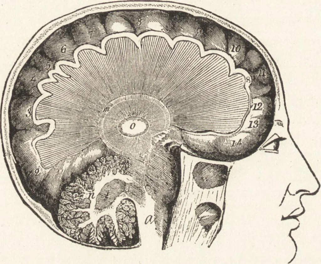 An illustration from The principles of light and color: including among other things the harmonic laws of the universe, the etherio-atomic philosophy of force, chromo chemistry, chromo therapeutics, and the general philosophy of the fine forces, together with numerous discoveries and practical applications .., 1878, leaf 527