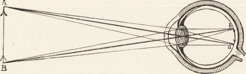 An illustration from The principles of light and color: including among other things the harmonic laws of the universe, the etherio-atomic philosophy of force, chromo chemistry, chromo therapeutics, and the general philosophy of the fine forces, together with numerous discoveries and practical applications .., 1878, leaf 566