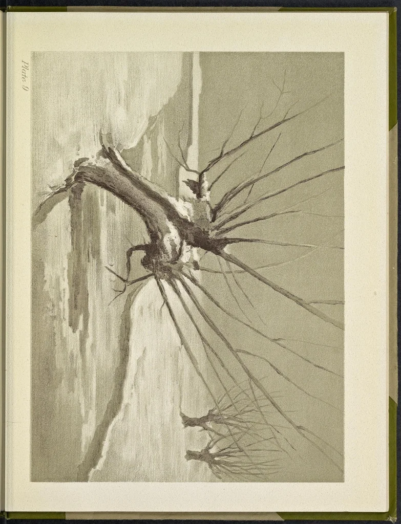 An illustration from A note on color for teachers of elementary schools, 1912, leaf 58