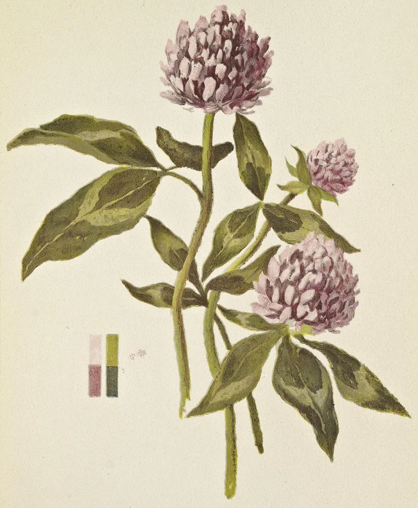 An illustration from A note on color for teachers of elementary schools, 1912, leaf 68