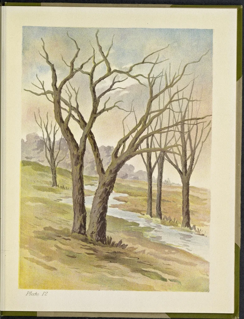 An illustration from A note on color for teachers of elementary schools, 1912, leaf 72
