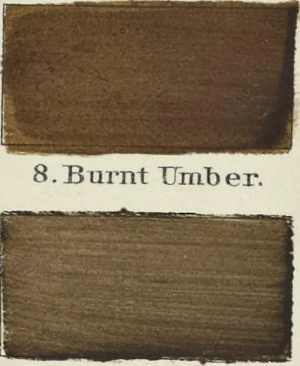 An illustration from A nomenclature of colors for naturalists : and compendium of useful knowledge for ornithologists, 1886, leaf 146