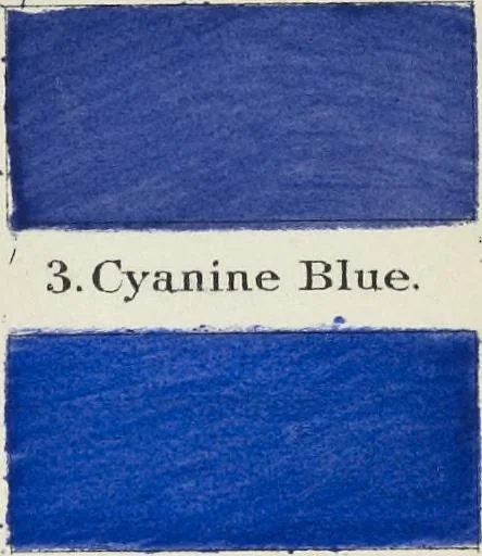 An illustration from A nomenclature of colors for naturalists : and compendium of useful knowledge for ornithologists, 1886, leaf 170